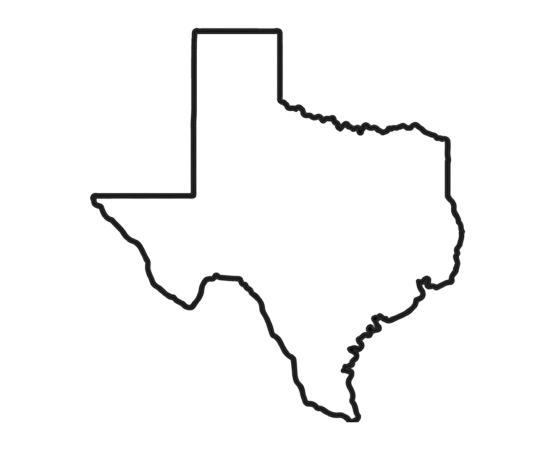 Texas State Decal